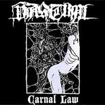 VASTUM "Carnal Law" CD w/ Slipcase