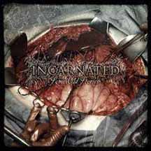 INCARNATED "Some Old Stories" CD